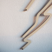 Walking stick - Diesbachia tamyris